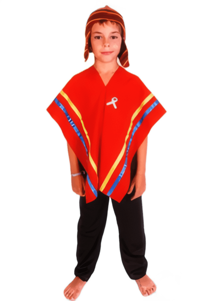 Disfraz de Colla Varón