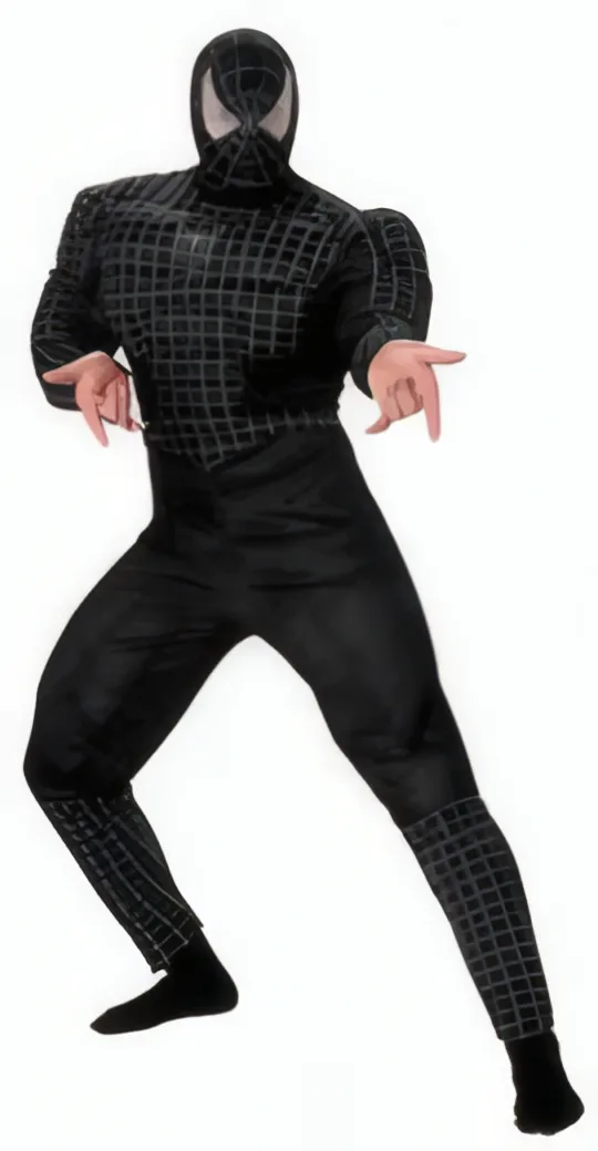 Disfraz de Spiderman Negro